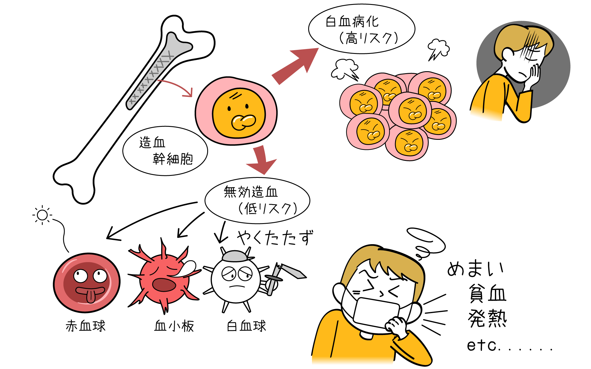 血液専門医が解説】骨髄異形成症候群(MDS)の症状・診断・治療