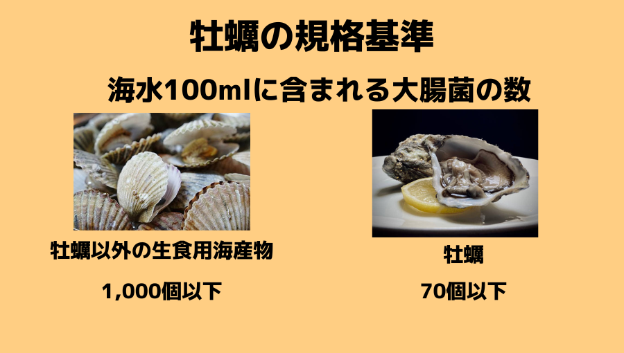 生食用の牡蠣の基準をイラストでご説明します。