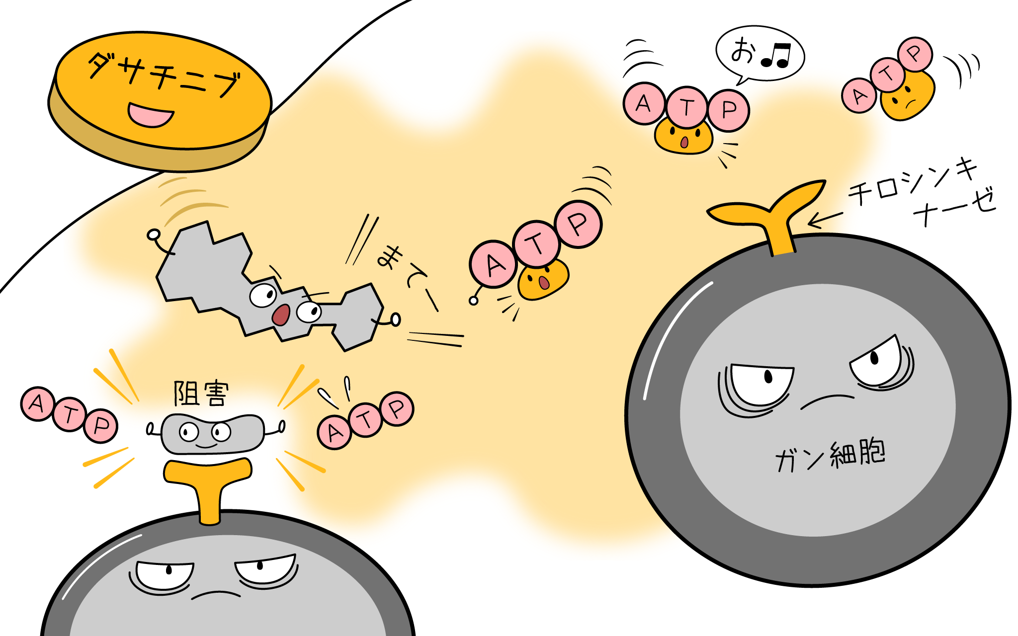 血液専門医が解説】スプリセル（ダサチニブ）の効果と副作用